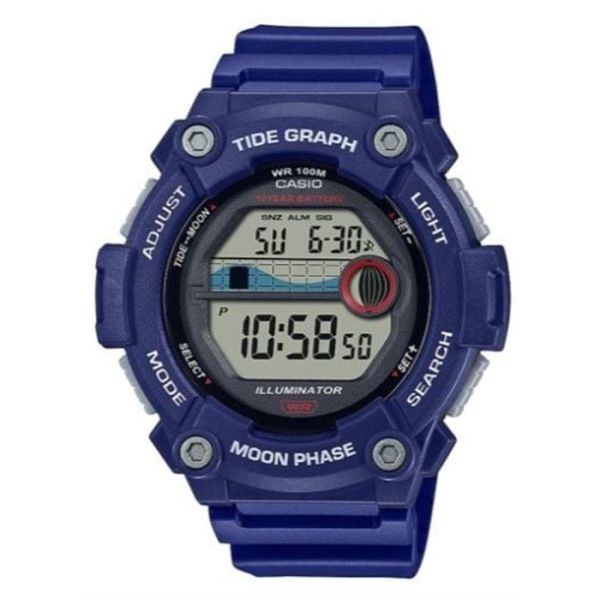 Casio STANDART WS-1300H-2AVDF Kol Saati