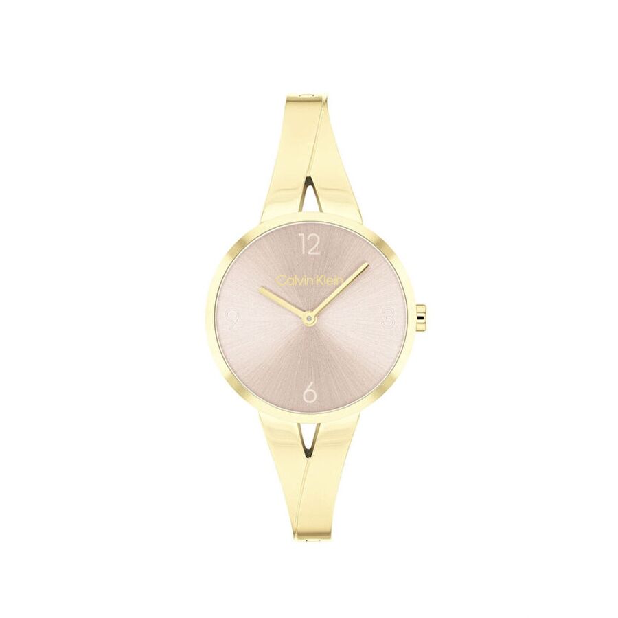 Calvin Klein CK25100027 Kadın Kol Saati