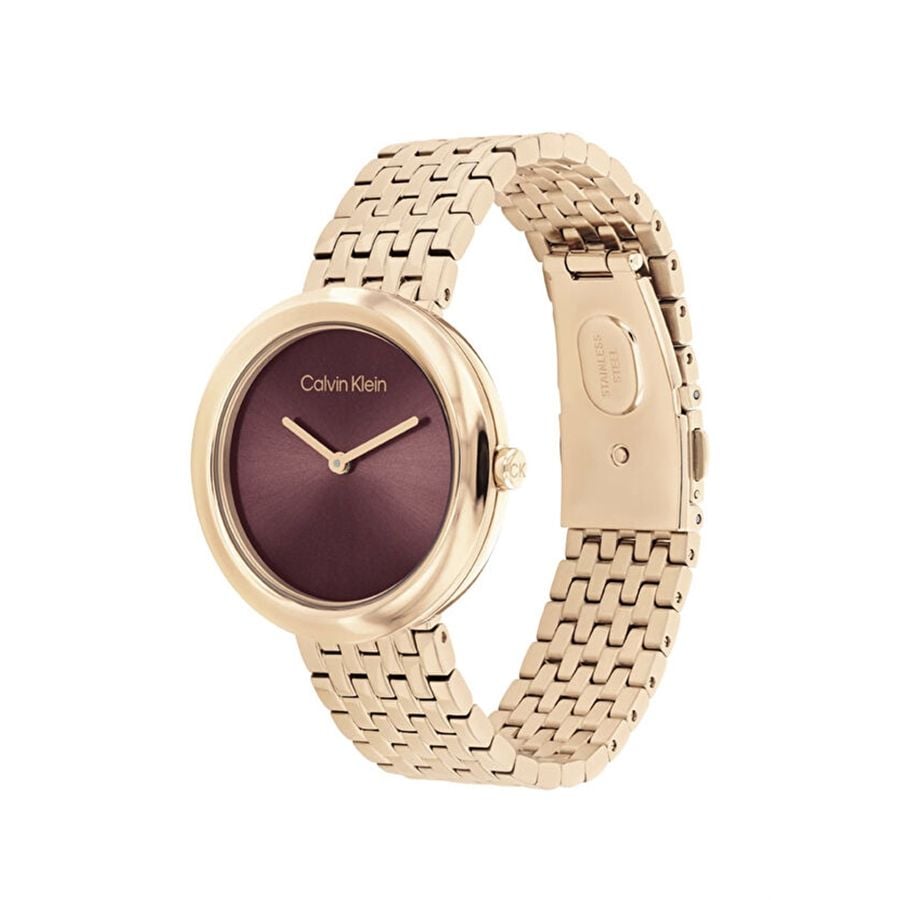 Calvin Klein CK25100067 Kadın Kol Saati