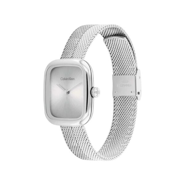 Calvin Klein CK25100098 Kadın Kol Saati
