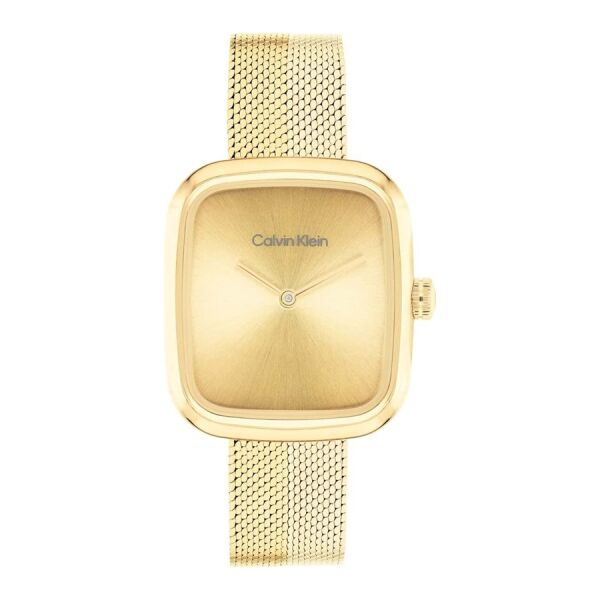 Calvin Klein CK25100099 Kadın Kol Saati