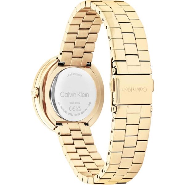Calvin Klein CK25100094 Kadın Kol Saati