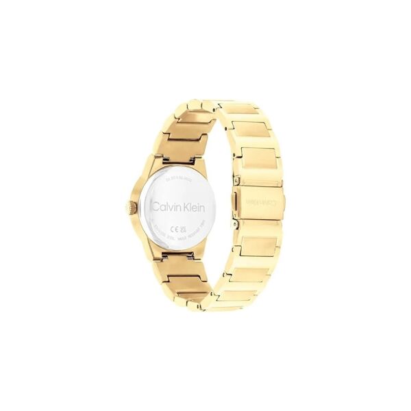 Calvin Klein CK25100077 Kadın Kol Saati
