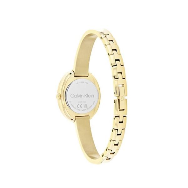 Calvin Klein Ck25100056 Kadın Kol Saat