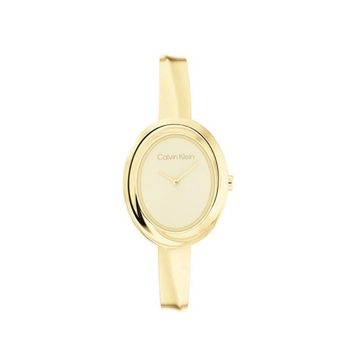 Calvin Klein Ck25100056 Kadın Kol Saat