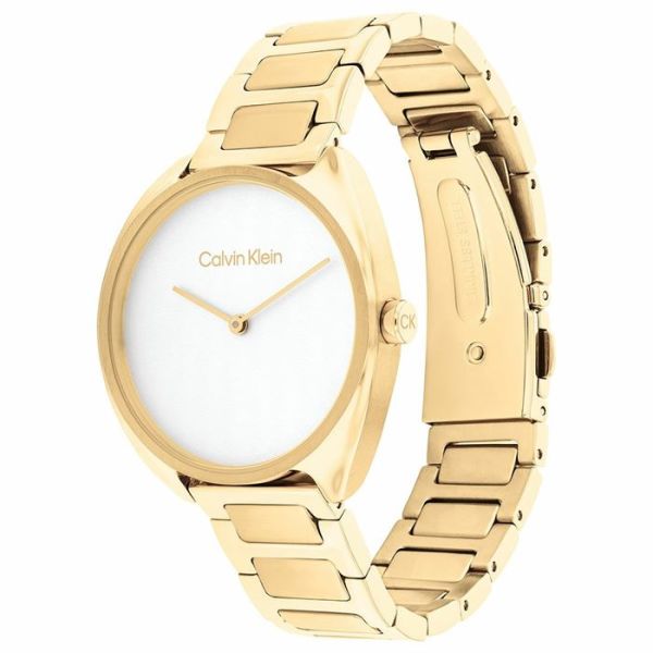 Calvin Klein CK25200276 Kadın Kol Saati