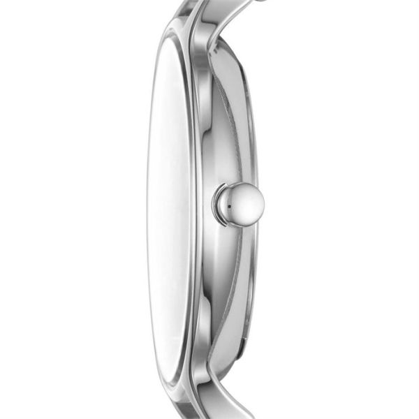 Skagen SKW2649 Bayan Kol Saati
