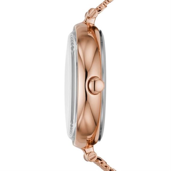 Skagen SKW2980 Bayan Kol Saati