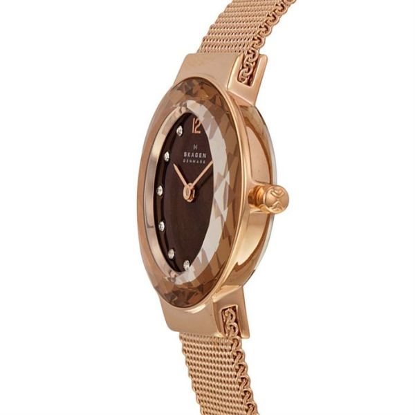 Skagen SKA456SRR1 Bayan Kol Saati