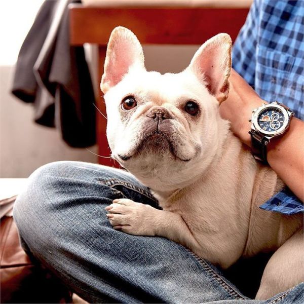 Gc GCX72025G7S Erkek Kol Saati