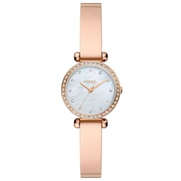 Fossil FBQ3894 Kadın Kol Saati
