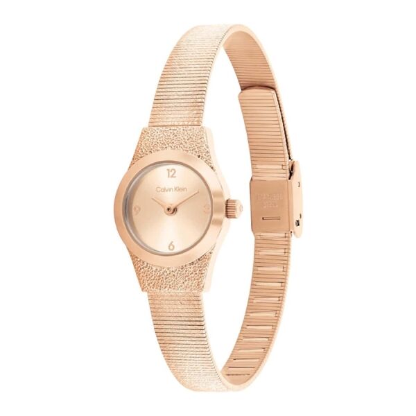 Calvin Klein CK25100194 Kadın Kol Saati