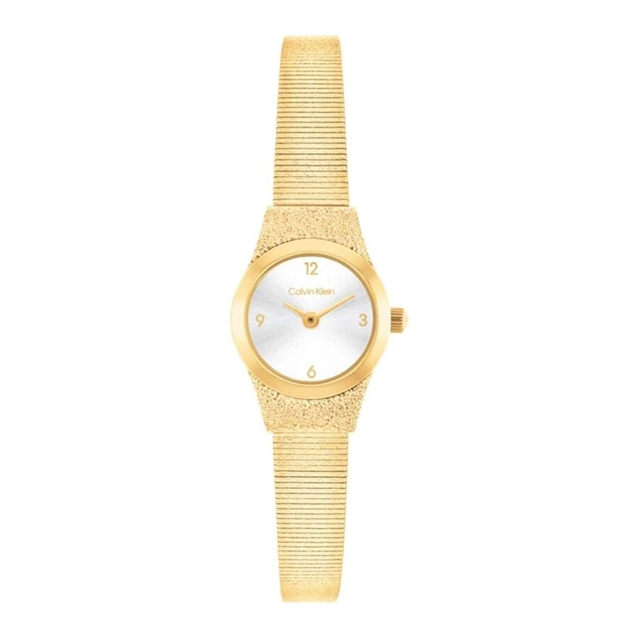 Calvin Klein CK25100193 Kadın Kol Saati