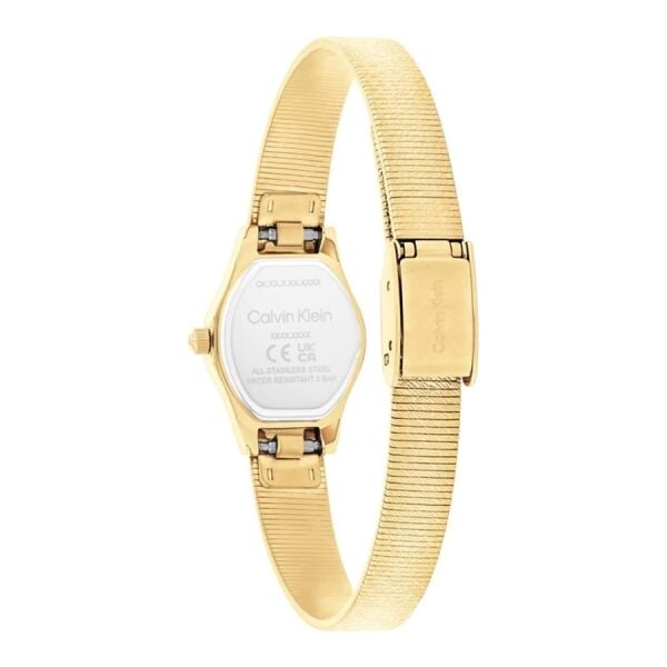 Calvin Klein CK25100193 Kadın Kol Saati