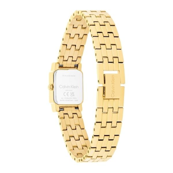Calvin Klein CK25100162 Kadın Kol Saati