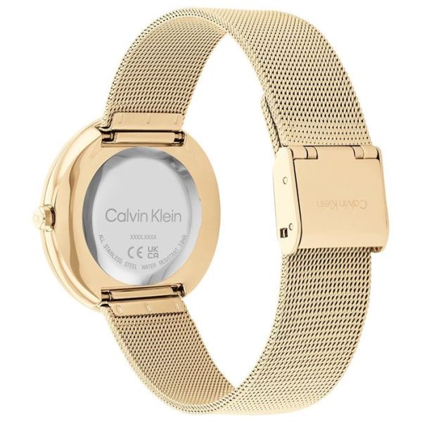 Calvin Klein CK25200012 Kadın Kol Saati