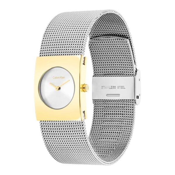 Calvin Klein CK25100139 Kadın Kol Saati