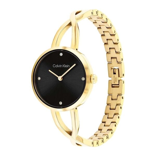 Calvin Klein CK25100059 Kadın Kol Saati