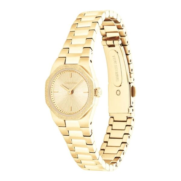 Calvin Klein CK25100142 Kadın Kol Saati