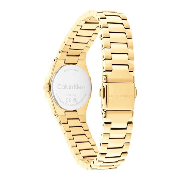 Calvin Klein CK25100142 Kadın Kol Saati