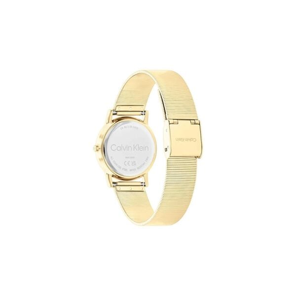 Calvin Klein CK25100035 Kadın Kol Saati