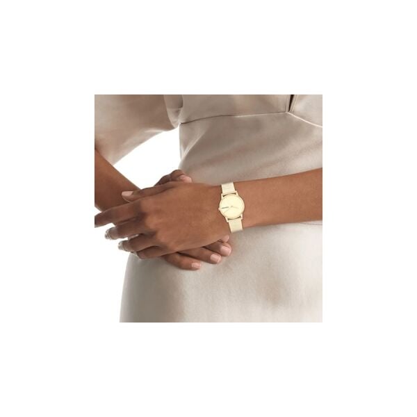 Calvin Klein CK25100035 Kadın Kol Saati