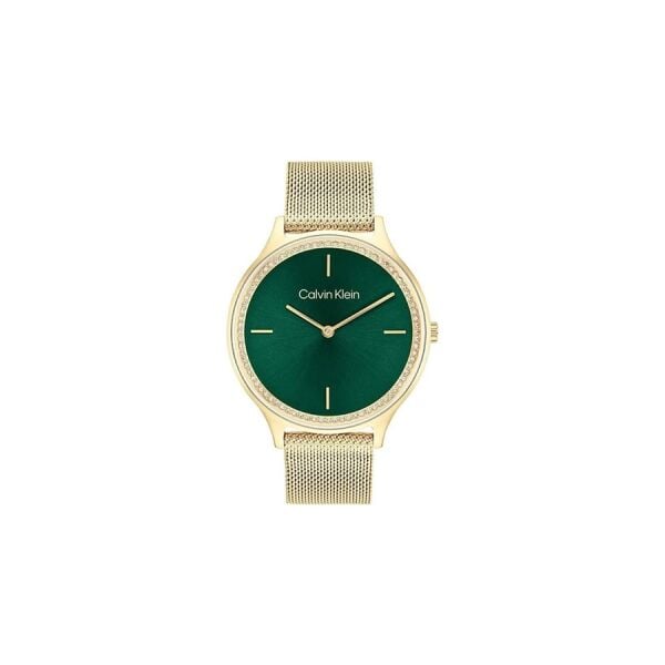 Calvin Klein CK25100005 Kadın Kol Saati