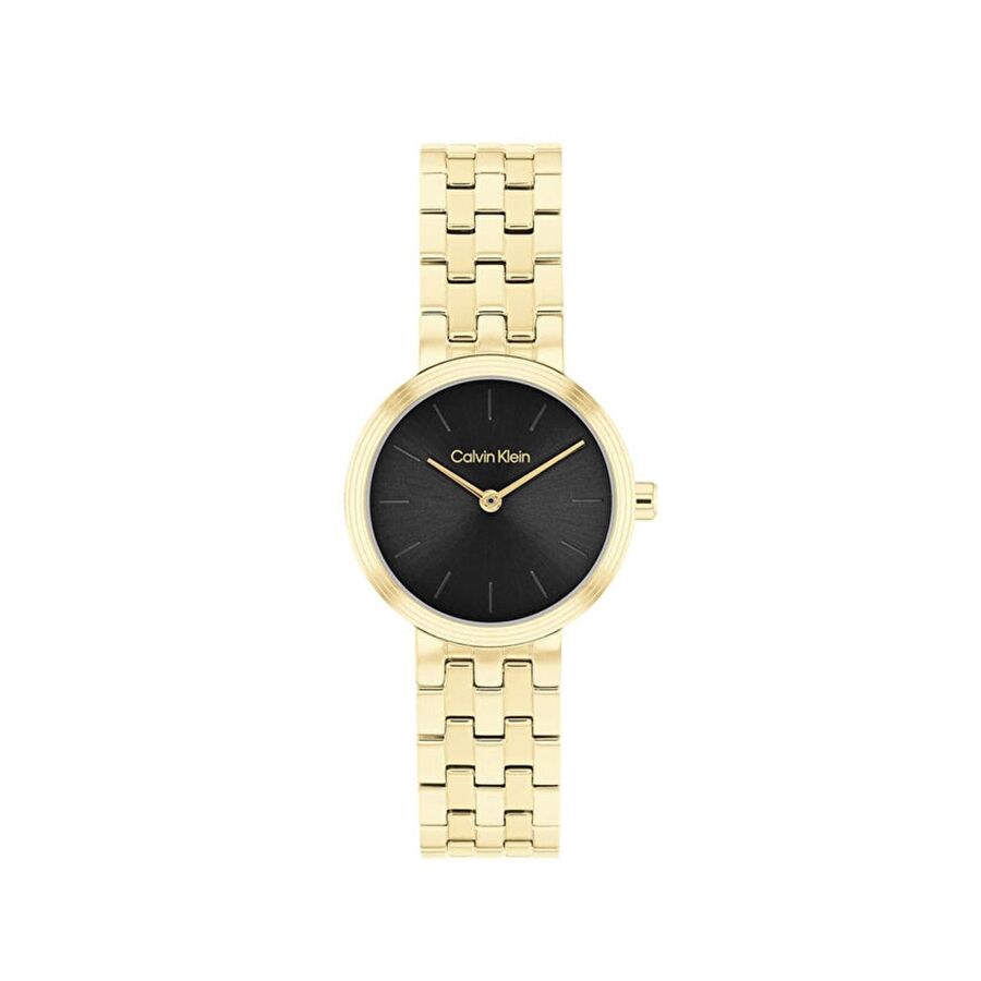Calvin Klein CK25100187 Kadın Kol Saati