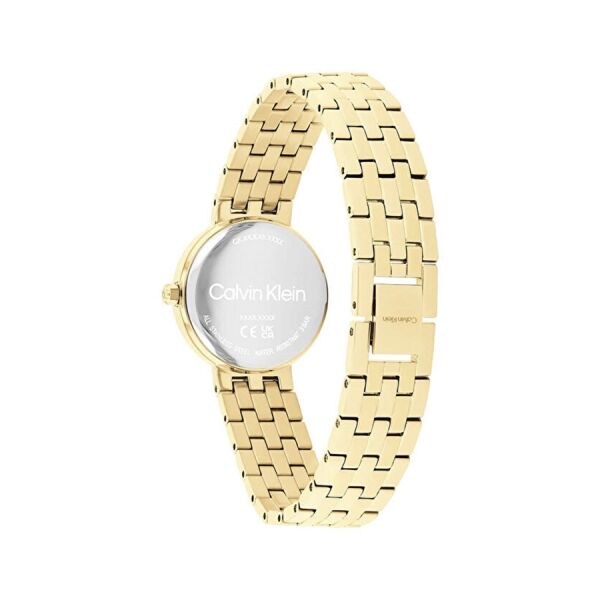 Calvin Klein CK25100187 Kadın Kol Saati