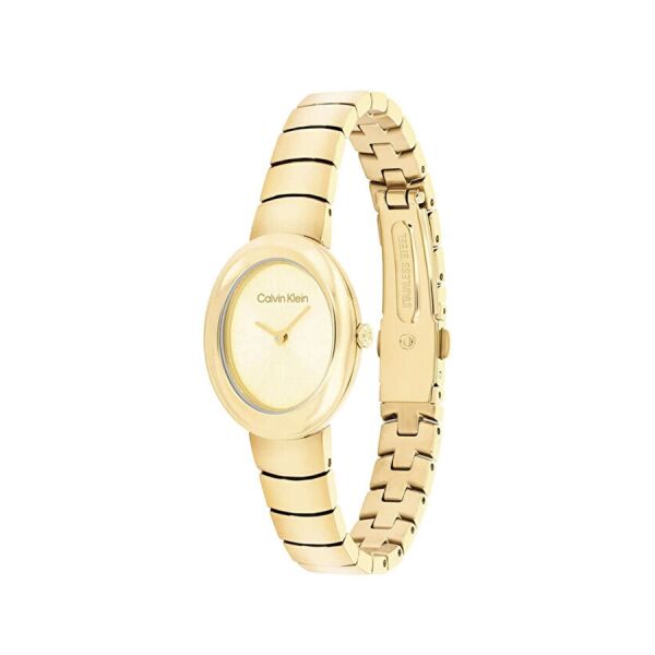 Calvin Klein CK25100147 Kadın Kol Saati