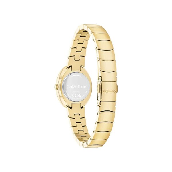 Calvin Klein CK25100147 Kadın Kol Saati