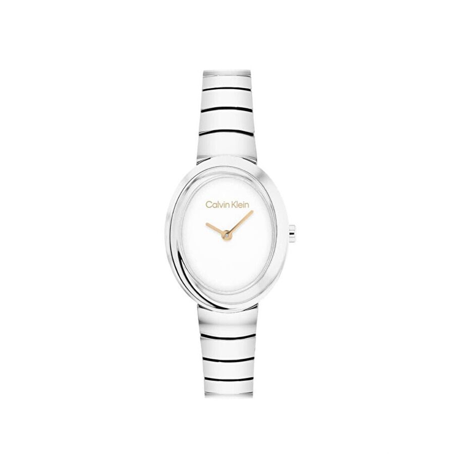 Calvin Klein CK25100149 Kadın Kol Saati
