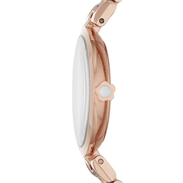 Emporio Armani AR11196 Bayan Kol Saati
