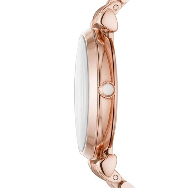 Emporio Armani AR11244 Bayan Kol Saati
