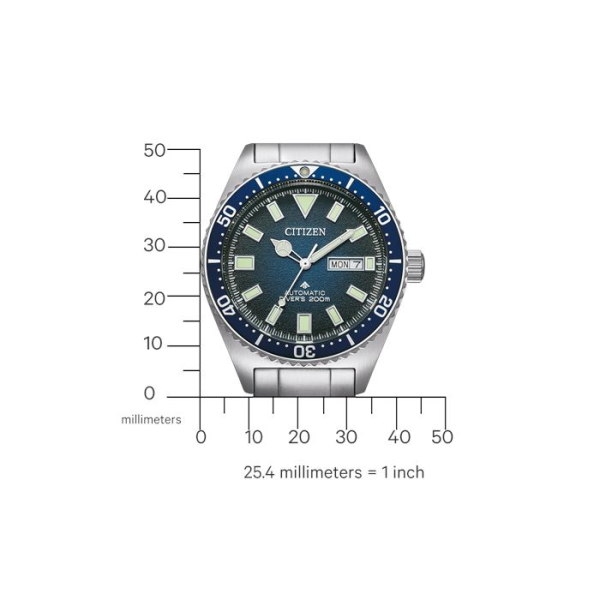 Citizen Promaster NY0129-58LE Erkek Kol Saati